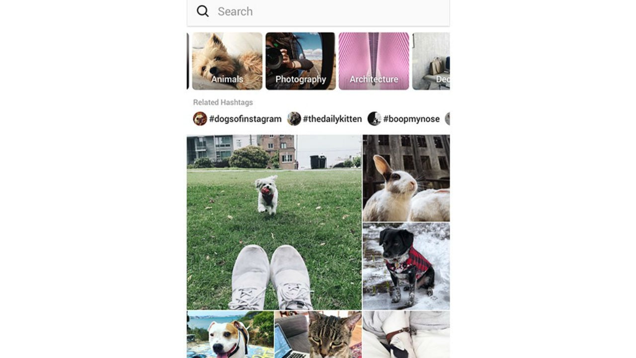 Instagram is personalising the Explore section by introducing categories  and relevant hashtags to make discovery easier- Technology News, Firstpost