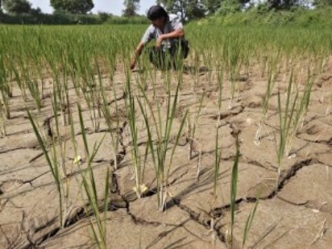 Maharashtra govt says farmers to receive funds for irrigation wells, orchards through DBT scheme Maharashtra govt says farmers to receive funds for irrigation wells, orchards through DBT scheme