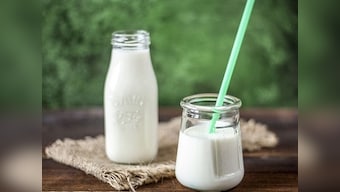 Govt extends ban on import of milk products from China for six months
