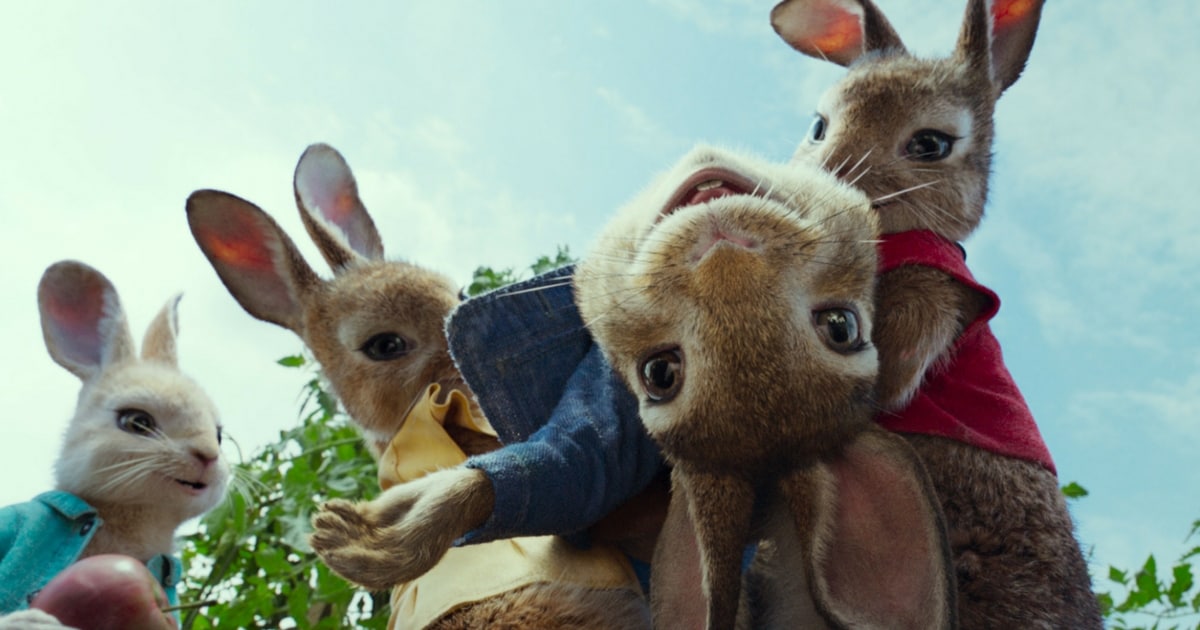 Peter Rabbit 2 green-lit by Sony, Will Gluck-directed ...