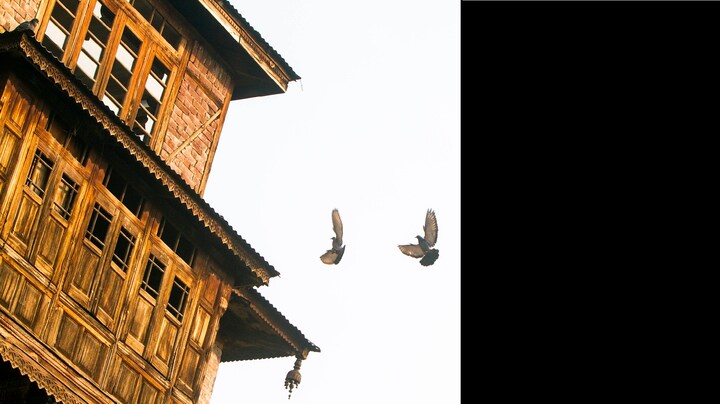 Decades after Kashmiri Pandits fled Valley in fear, what remains?