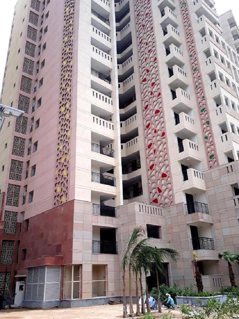 A building in East Kidwai Nagar, where ornamental palms have been planted in place of old banyan and peepal trees. Image Courtesy: Juhi Saklani.