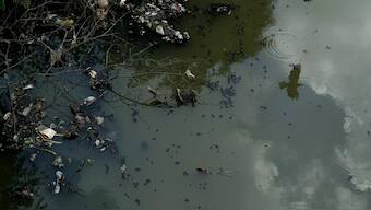 Kolkata's pollution woes mount with its air, water quality in rapid decline
