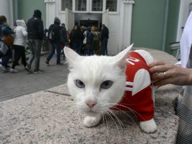 A deaf, white cat named Achilles is soon to begin his work as Russia's official soothsayer for the World Cup, following in the tentacle-prints of Paul the Octopus who became a star in 2010. AP