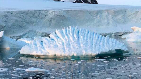 Allergies, polar bears and glaciers: 10 instances of climate change in action