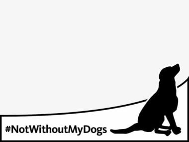 The #NotWithoutMyDog campaign has gone viral across social media platforms. Image Courtesy: Amoopa Anand