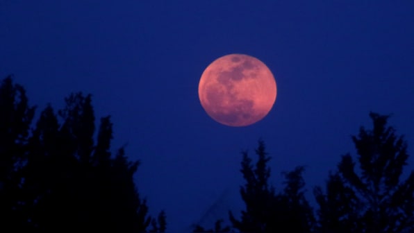 Blood Moon 2018: Here's how social media across the world saw the lunar eclipse