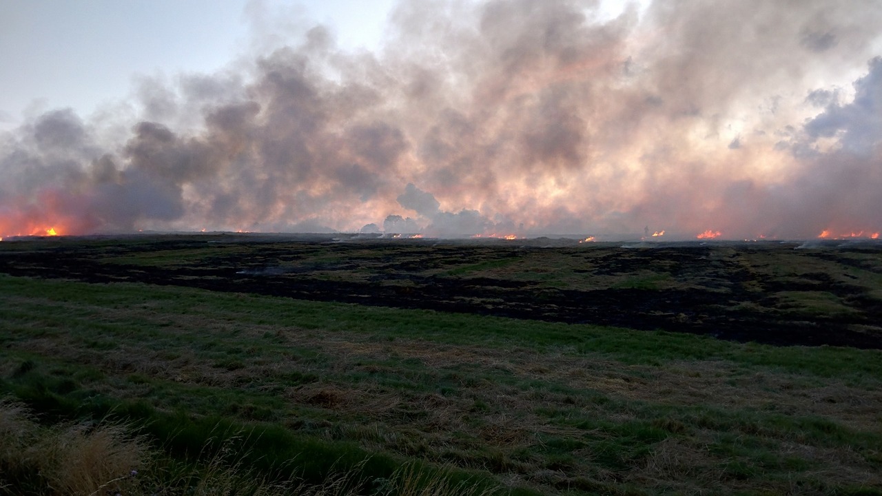 Crop residue burning in Punjab affecting other parts of India: Study Crop residue burning in Punjab affecting other parts of India: Study