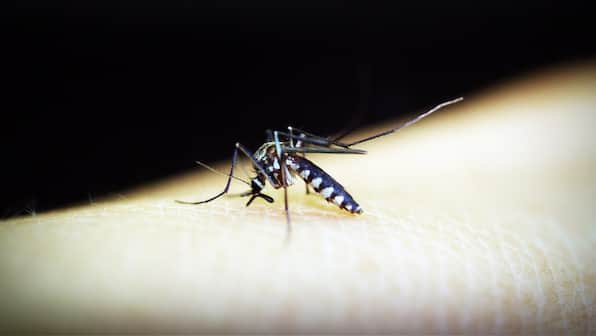 Early warning system can predict dengue outbreaks by mining meteorological data