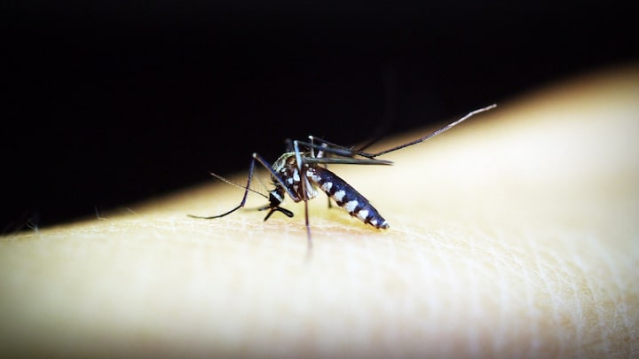 Early warning system can predict dengue outbreaks by mining meteorological data