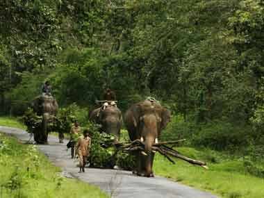 Wildlife is too important to left to establishment; power must be given to people whose habitat is steamrolled