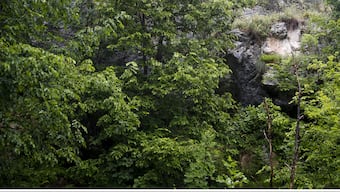 Tree-planting has enormous potential but significant socio-ecological challenges for climate action