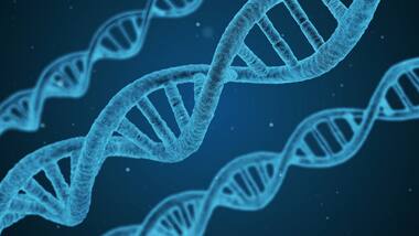 China drafts new regulations on gene editing after unethical use by scientist