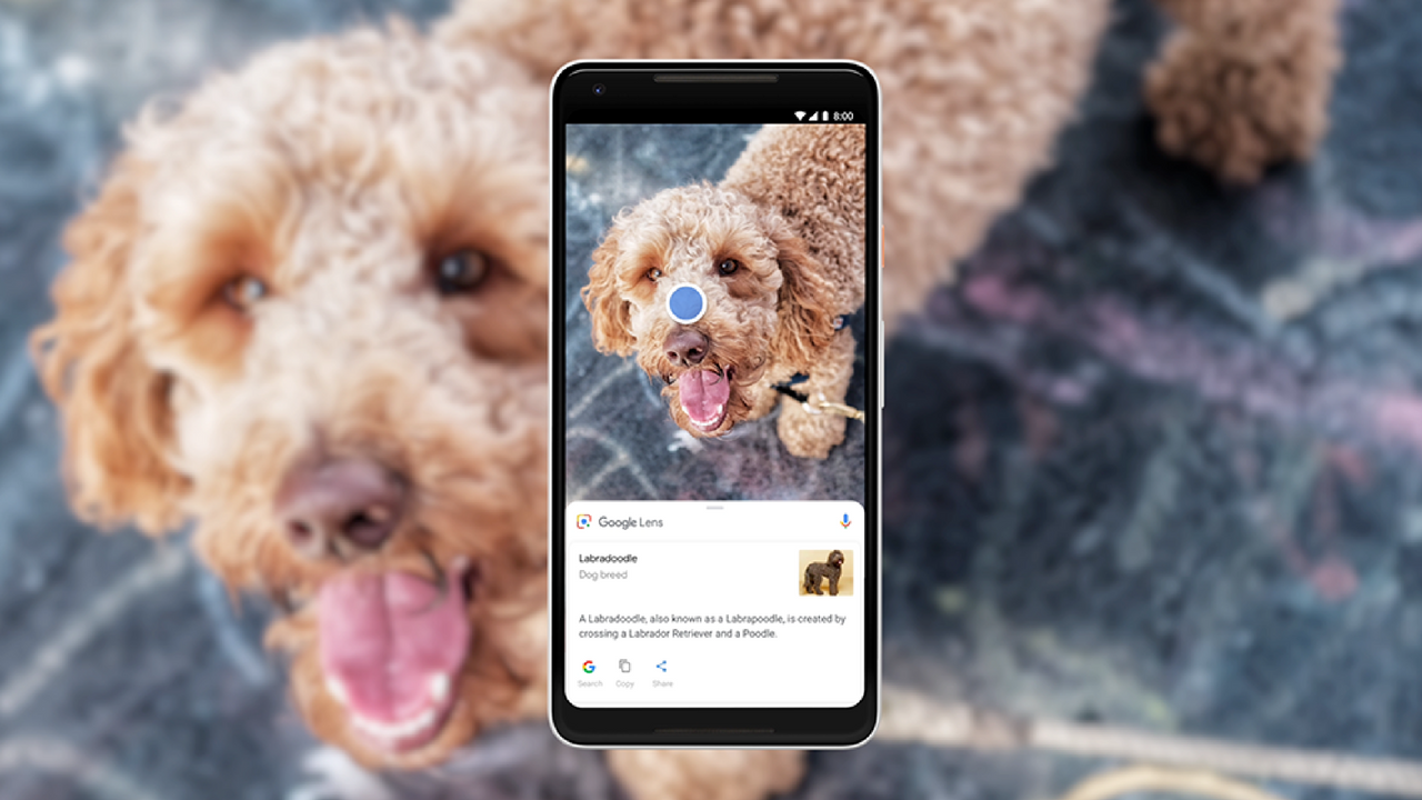 Users start seeing new Google Lens features when using 'Oveview' in Android Pie Users start seeing new Google Lens features when using 'Oveview' in Android Pie