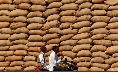 In Mandsaur, Rahul Gandhi hopes to raise demand for MSP at farmers' rally, but agrarian distress is systemic