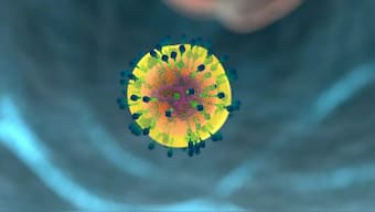 'Natural killer' immune cells that halt malaria could hold key to new vaccines