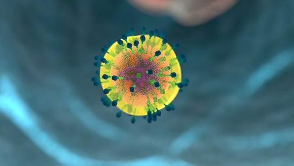'Natural killer' immune cells that halt malaria could hold key to new vaccines