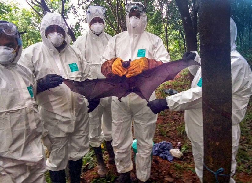 Nipah Virus: Keralas ad-hoc health workers who risked life to save patients, on hunger strike since 13 days for regularisation of jobs