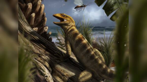 Scientist have found the fossil of 240 million year old lizard which roamed the earth when dinosaurs were still new