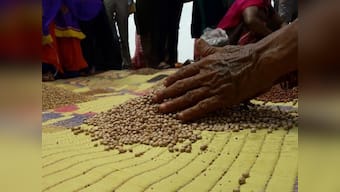 Telangana cultivators join hands with 100 consumers to launch India's first community-supported model of agriculture