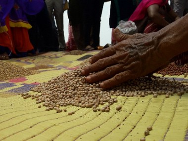 Telangana cultivators join hands with 100 consumers to launch India's first community-supported model of agriculture Telangana cultivators join hands with 100 consumers to launch India's first community-supported model of agriculture