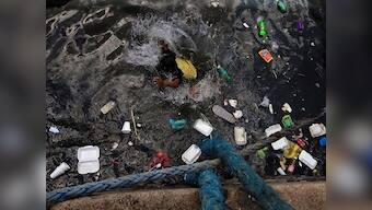 Scientists identify two new absorbents that can soak up pollutants in waste water in under 24 hours