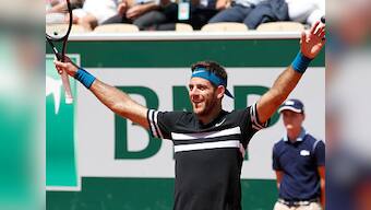 French Open 2018: Juan Martin Del Potro outlasts Marin Cilic to reach first Roland Garros semi-final in nine years