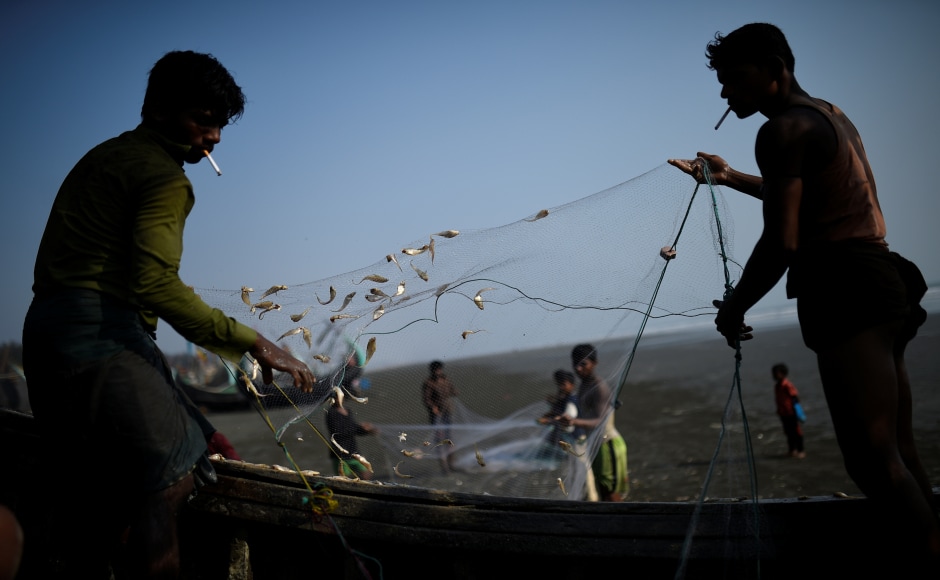 Rohingya Refugees Find Respite In Bangladesh's Fishing Industry; Take ...