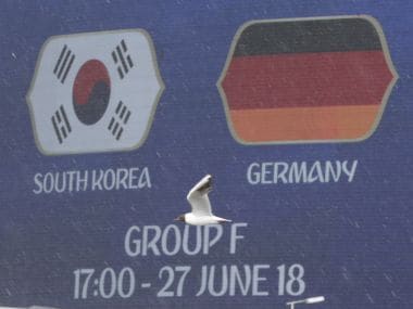 A bird flies in the rain in front of Kazan Arena, venue for the Group F match between South Korea and Germany. AP