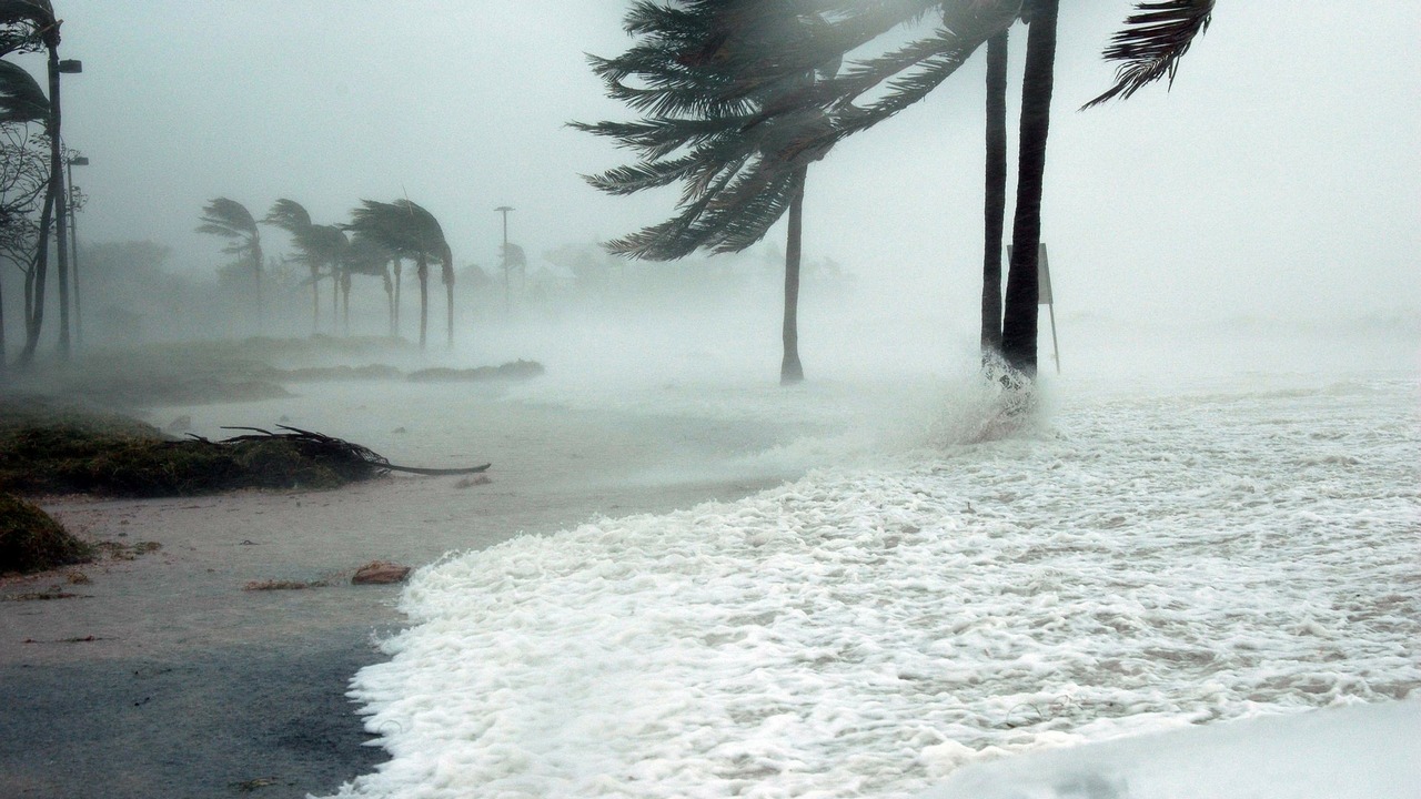 Torrential rains in Japan kill 66, leave 1,000 in the western city of Kurashiki Torrential rains in Japan kill 66, leave 1,000 in the western city of Kurashiki