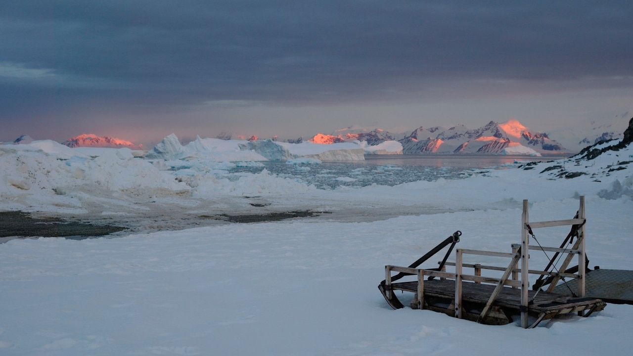 The Antarctic Sun. AP