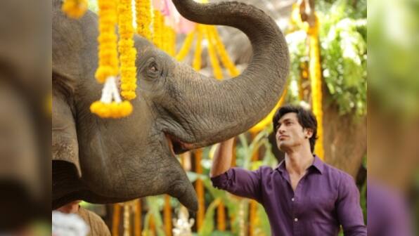 Vidyut Jammwal-starrer Junglee, scheduled to release this Dussehra, will now hit theatres on 5 April, 2019