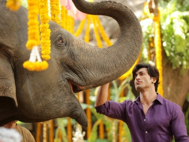 Vidyut Jammwal-starrer Junglee, scheduled to release this Dussehra, will now hit theatres on 5 April, 2019 Vidyut Jammwal-starrer Junglee, scheduled to release this Dussehra, will now hit theatres on 5 April, 2019