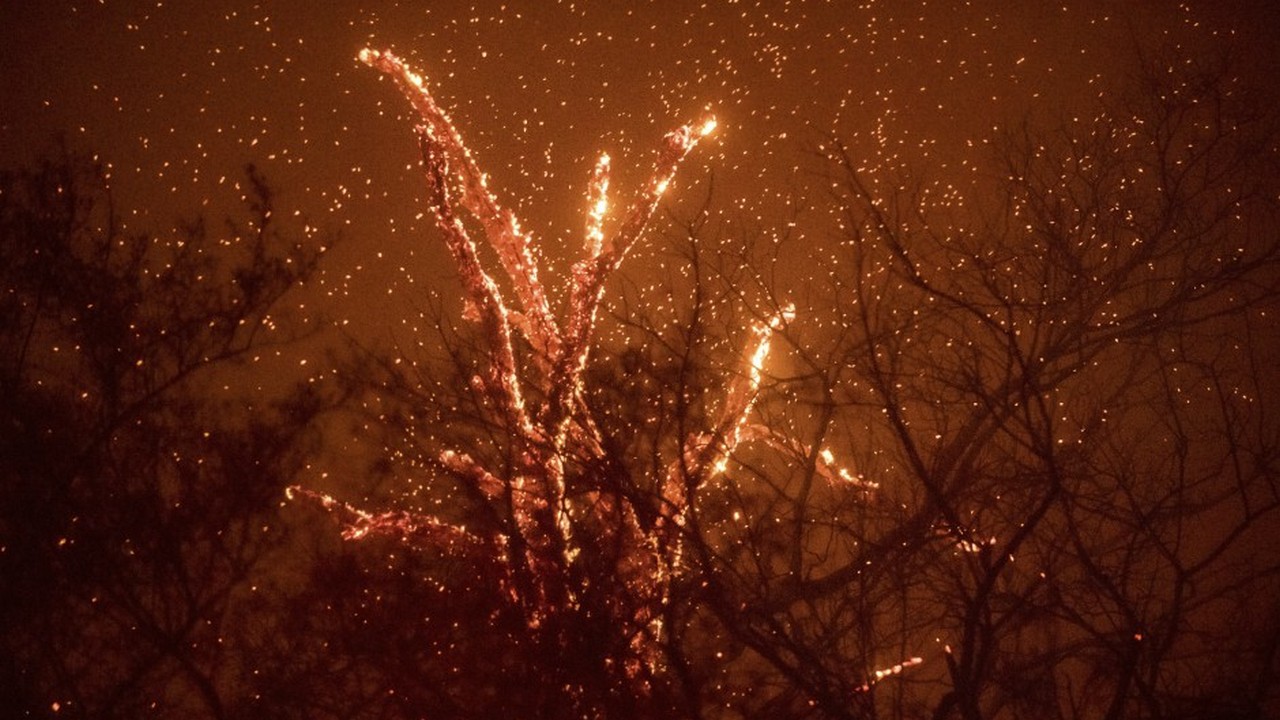 As wildfires continue to wreak havoc, here's how climate change aids the blazes As wildfires continue to wreak havoc, here's how climate change aids the blazes