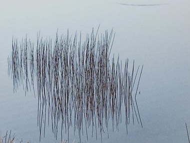 Meanwhile on Instagram: Bindi Sheth's photographs revel in subtle details, clever perspective arrangements Meanwhile on Instagram: Bindi Sheth's photographs revel in subtle details, clever perspective arrangements