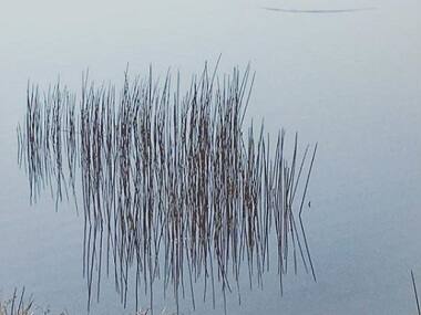 Meanwhile on Instagram: Bindi Sheth's photographs revel in subtle details, clever perspective arrangements