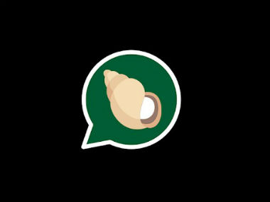 Baba Ramdev's Indian WhatsApp-rival Kimbho app to make a return soon: Report Baba Ramdev's Indian WhatsApp-rival Kimbho app to make a return soon: Report