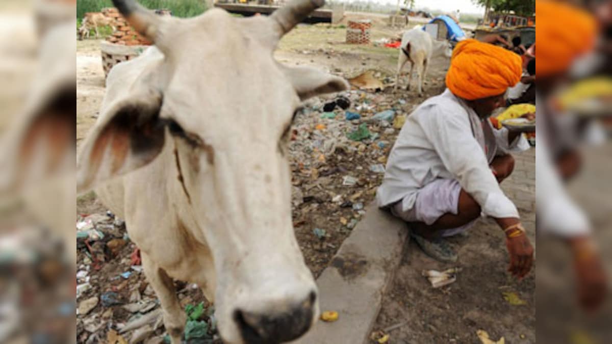 Muslim man lynched over 'cow slaughter rumours' in Uttar Pradesh's Hapur district; police claim it was case of road rage