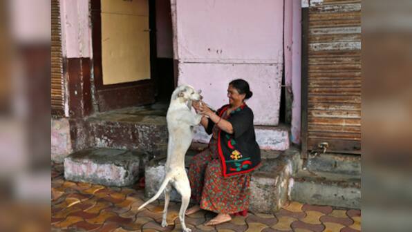 No more 'one home, one dog' policy in Bengaluru: BBMP withdraws controversial pet licensing law following outrage