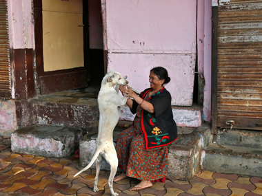No more 'one home, one dog' policy in Bengaluru: BBMP withdraws controversial pet licensing law following outrage No more 'one home, one dog' policy in Bengaluru: BBMP withdraws controversial pet licensing law following outrage