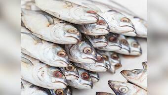 Kerala, Nagaland crack down on sale of formalin-laced fish as toxic carcinogenic chemical poses major health hazards