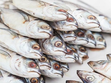 Kerala, Nagaland crack down on sale of formalin-laced fish as toxic carcinogenic chemical poses major health hazards Kerala, Nagaland crack down on sale of formalin-laced fish as toxic carcinogenic chemical poses major health hazards