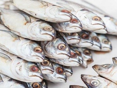 21,600 kg of formalin-laced fish seized in Kerala under Operation Sagar Rani: All you need to know about the carcinogen