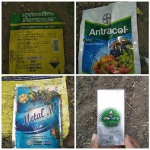 Opium farmers use an assortment of pesticides due to lack of know-how. Image Courtesy: Pallavi Rebbapragada