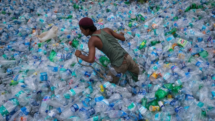 Biodegradable plastic developed from microorganisms that feed on seaweed
