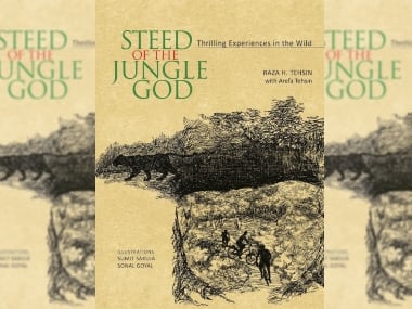 Steed of the Jungle God: Raza Tehsin presents exciting tales from south Rajasthan's wilderness
