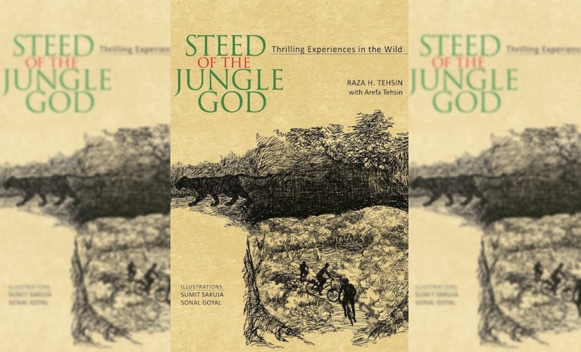 steed of jungle god 825