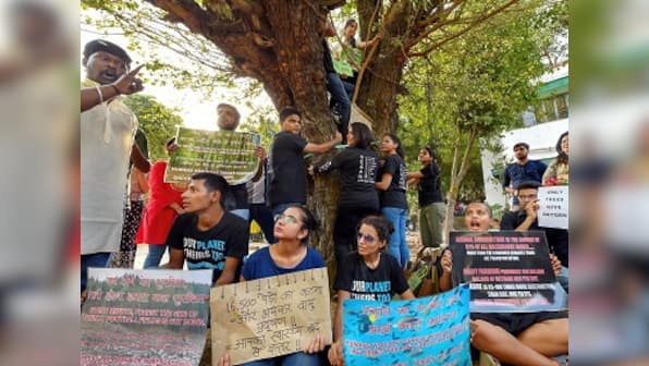 Delhi HC halts felling of trees for redevelopment plan till 4 July after protests: All you need to know