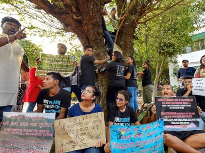 Delhi HC halts felling of trees for redevelopment plan till 4 July after protests: All you need to know