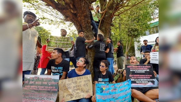 Delhi tree felling: Public Accounts Committee flays NBCC, says it committed 'serious irregularities'